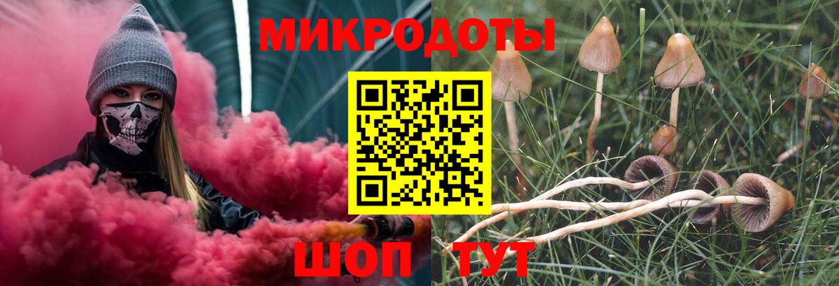 Галлюциногенные грибы мухоморы Ярославль