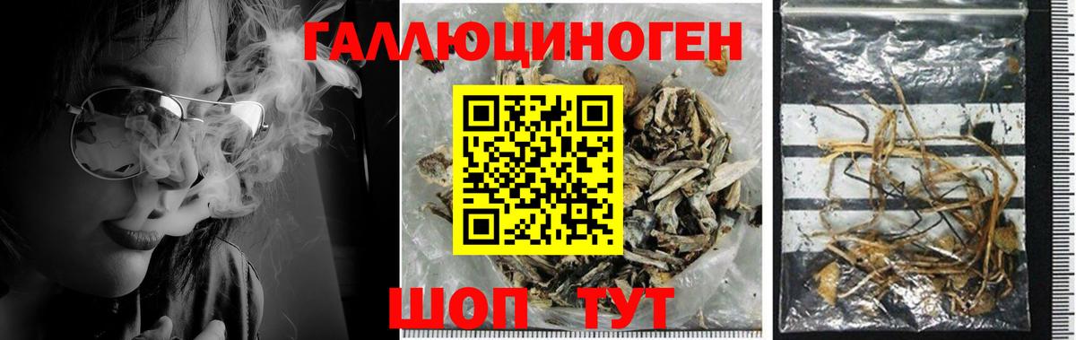 Псилоцибиновые грибы мухоморы  Вход с VPN  Ярославль  Псилоцибиновые грибы мухоморы 